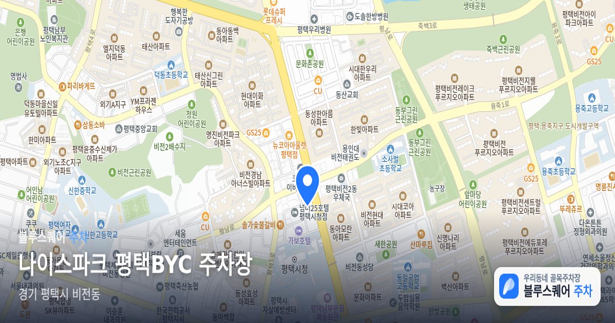 나이스파크 평택BYC 주차장 위치 지도