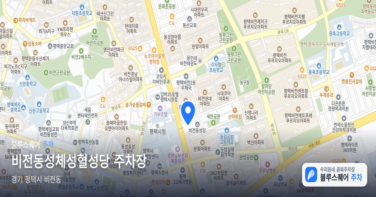 비전동성체성혈성당 주차장 위치 지도