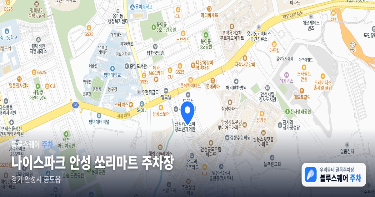 나이스파크 안성 쏘리마트 주차장 위치 지도