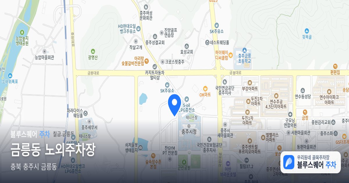 금릉동 노외주차장 위치 지도