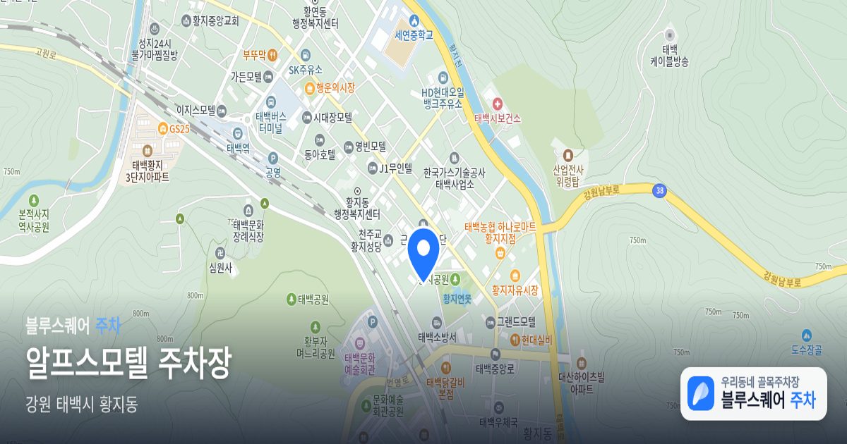 알프스모텔 주차장 위치 지도