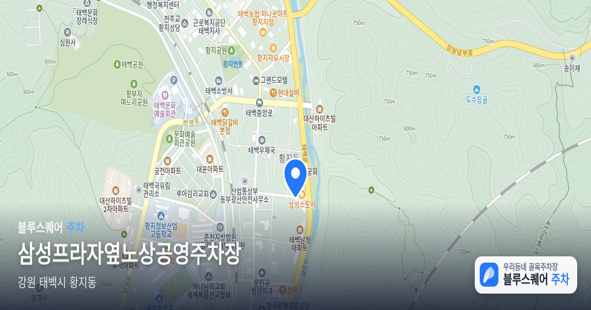 삼성프라자옆노상공영주차장 위치 지도