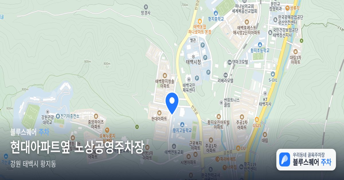 현대아파트옆 노상공영주차장 위치 지도