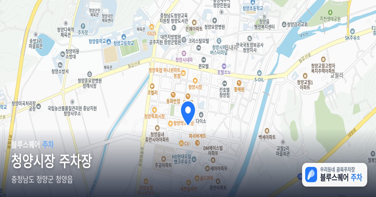 청양시장 주차장 위치 지도