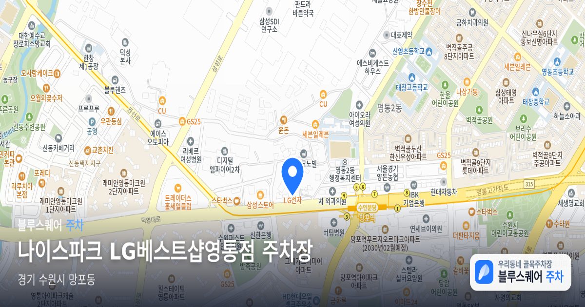 나이스파크 LG베스트샵영통점 주차장 위치 지도