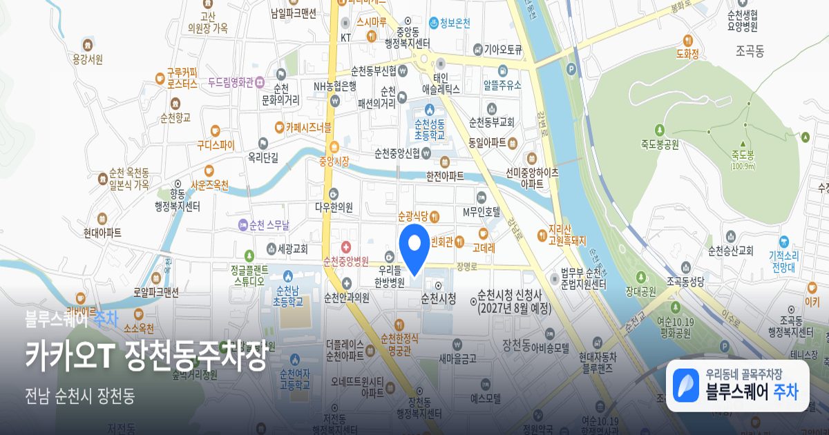 카카오T 장천동주차장 위치 지도