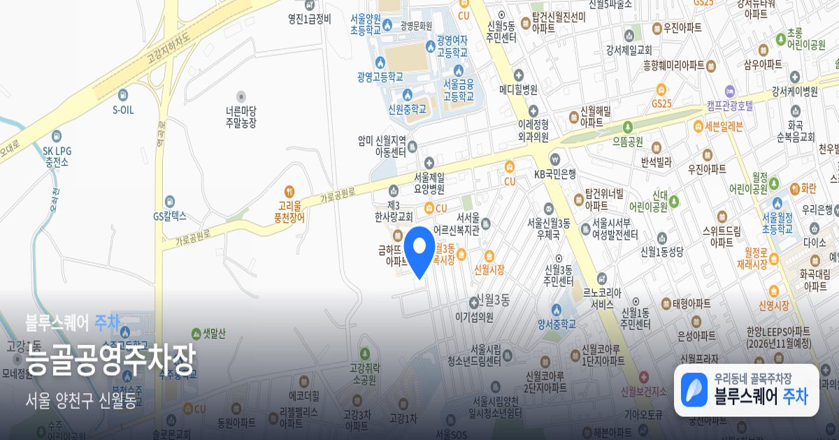 능골공영주차장 위치 지도