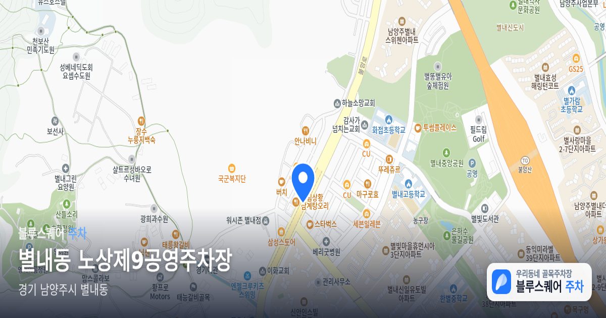 별내동 노상제9공영주차장 위치 지도