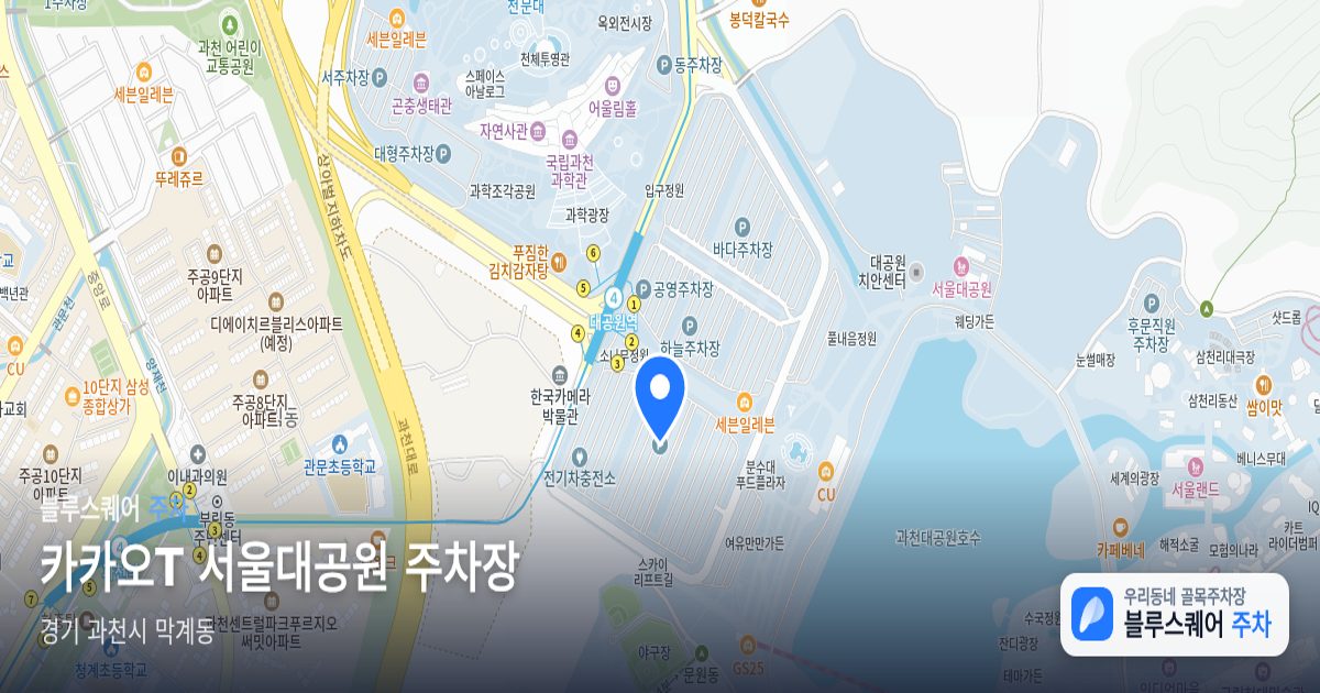 카카오T 서울대공원 주차장 위치 지도