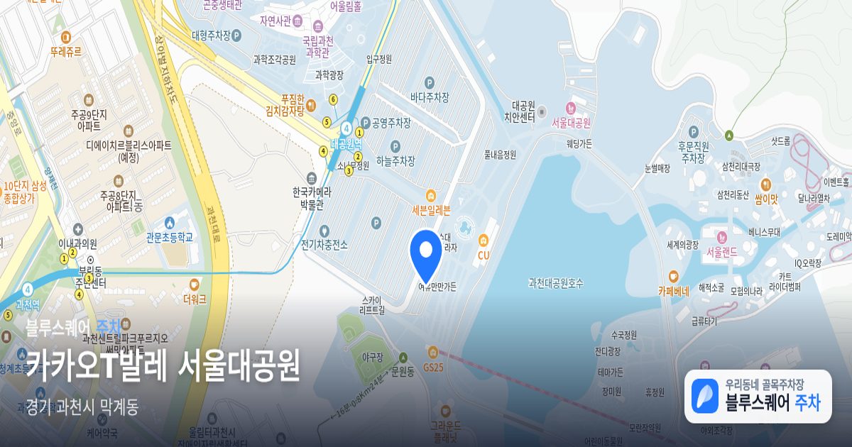 카카오T발레 서울대공원 위치 지도