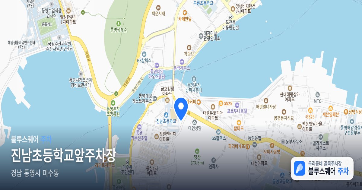 진남초등학교앞주차장 위치 지도