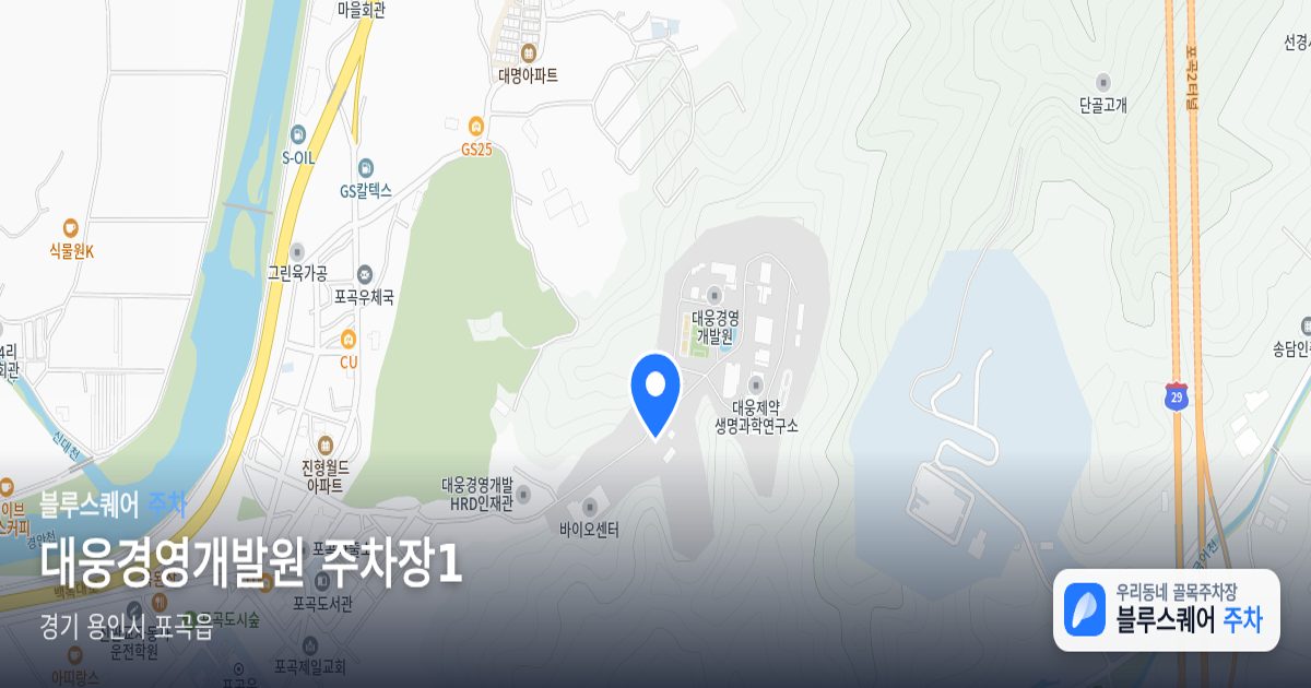 대웅경영개발원 주차장1 위치 지도
