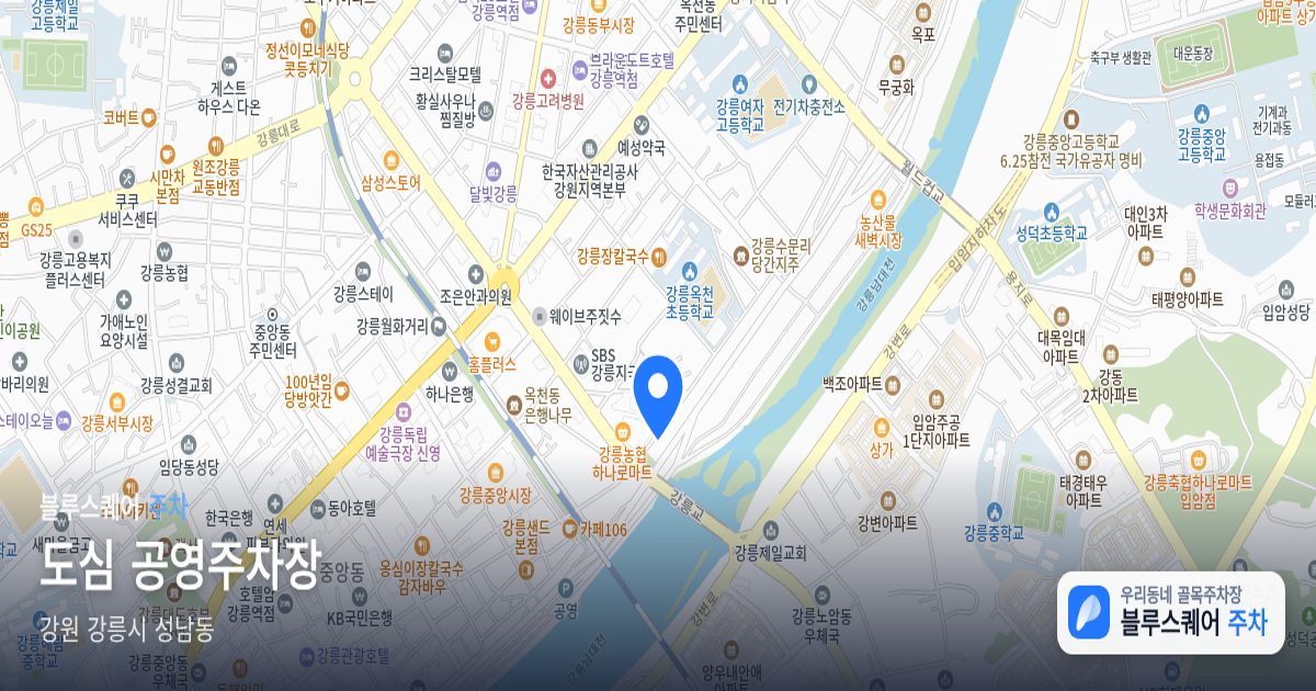 도심 공영주차장 위치 지도
