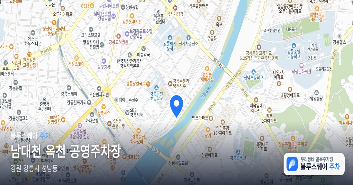 남대천 옥천 공영주차장 위치 지도