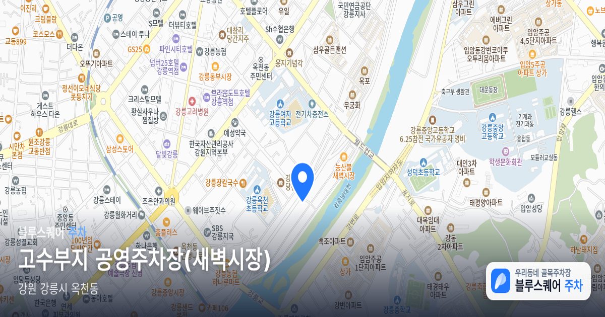 고수부지 공영주차장(새벽시장) 위치 지도