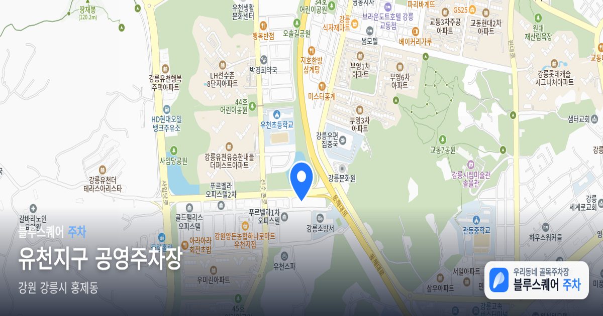 유천지구 공영주차장 위치 지도