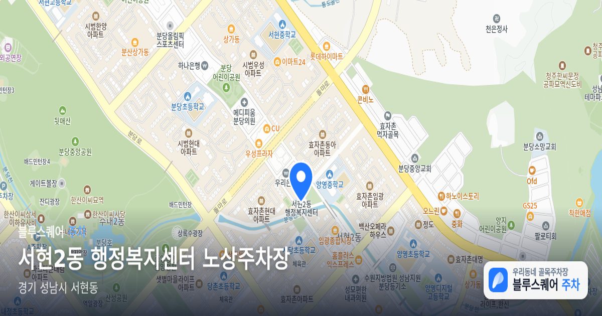 서현2동 행정복지센터 노상주차장 위치 지도