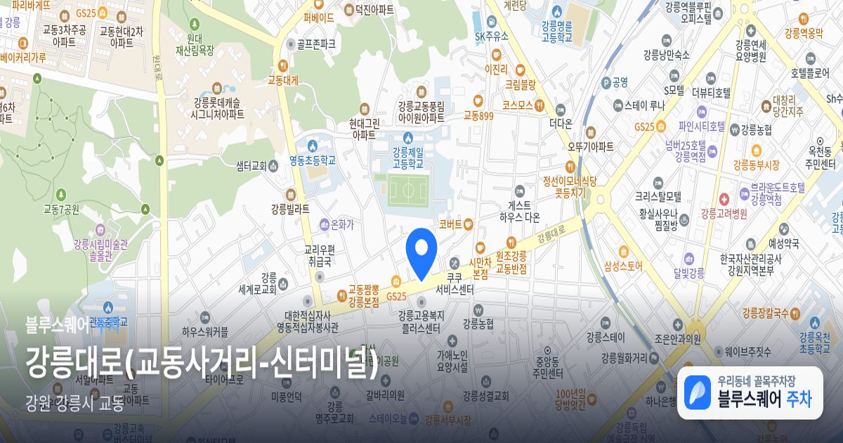 강릉대로(교동사거리-신터미널) 위치 지도