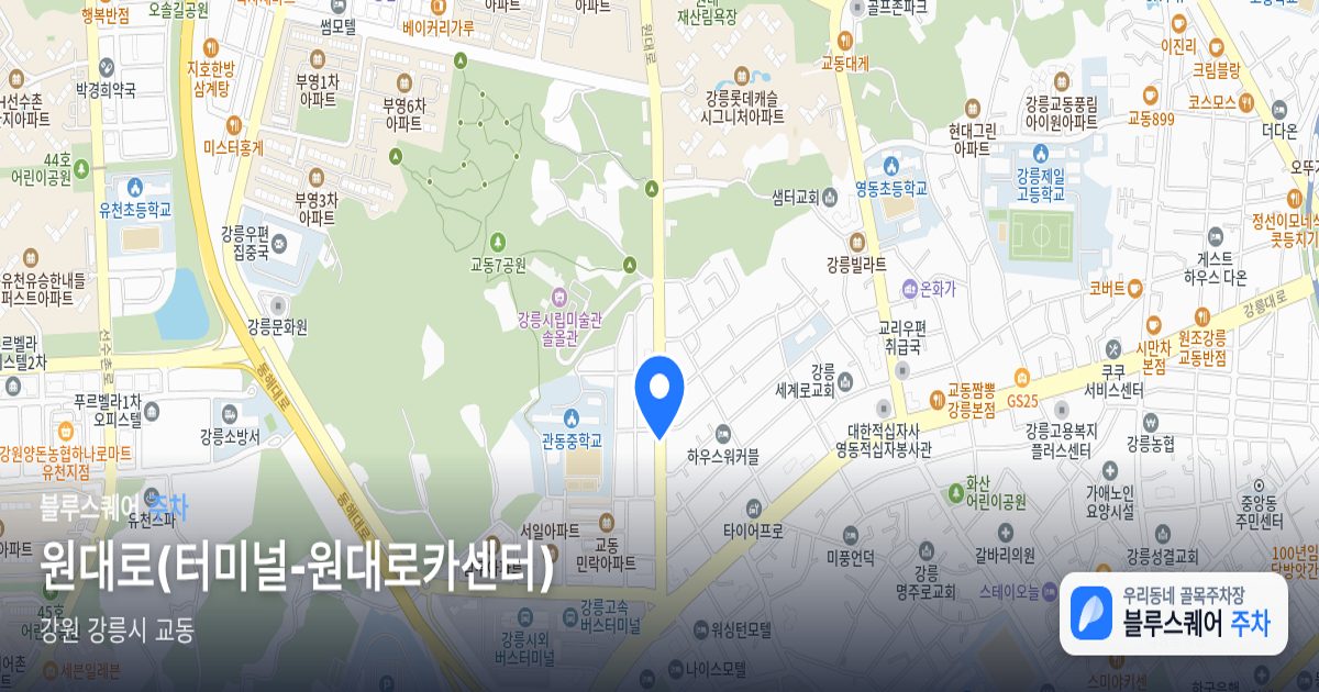 원대로(터미널-원대로카센터) 위치 지도