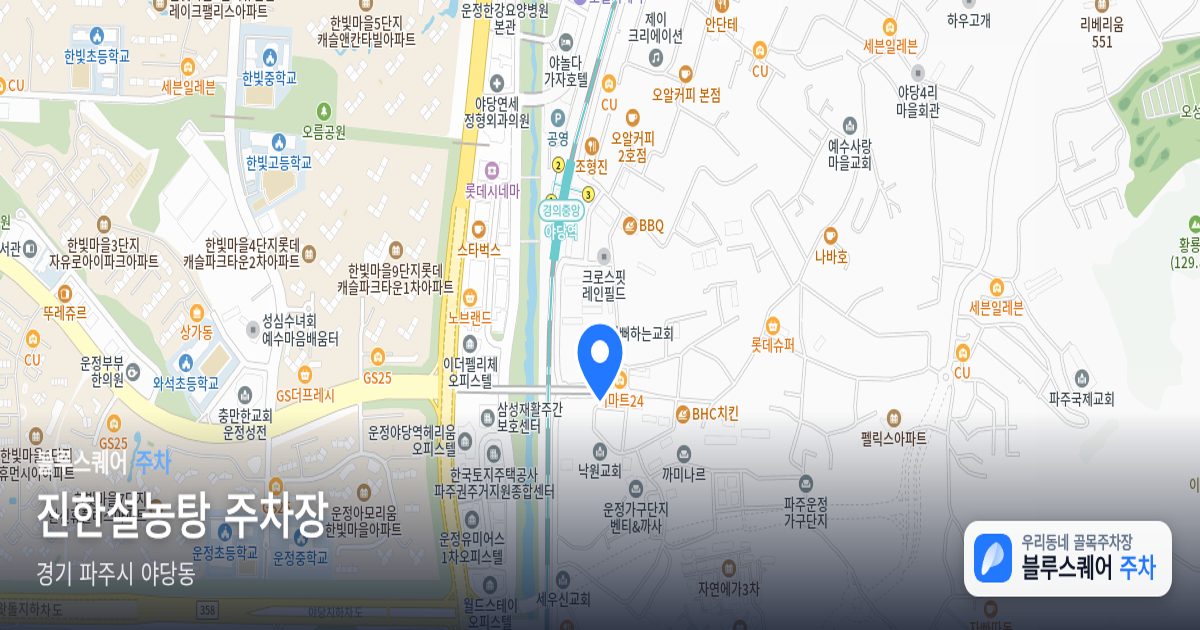 진한설농탕 주차장 위치 지도