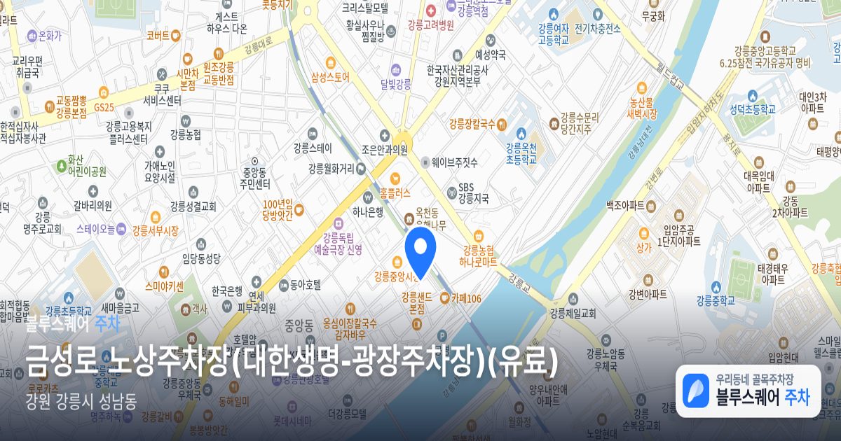 금성로 노상주차장(대한생명-광장주차장)(유료) 위치 지도