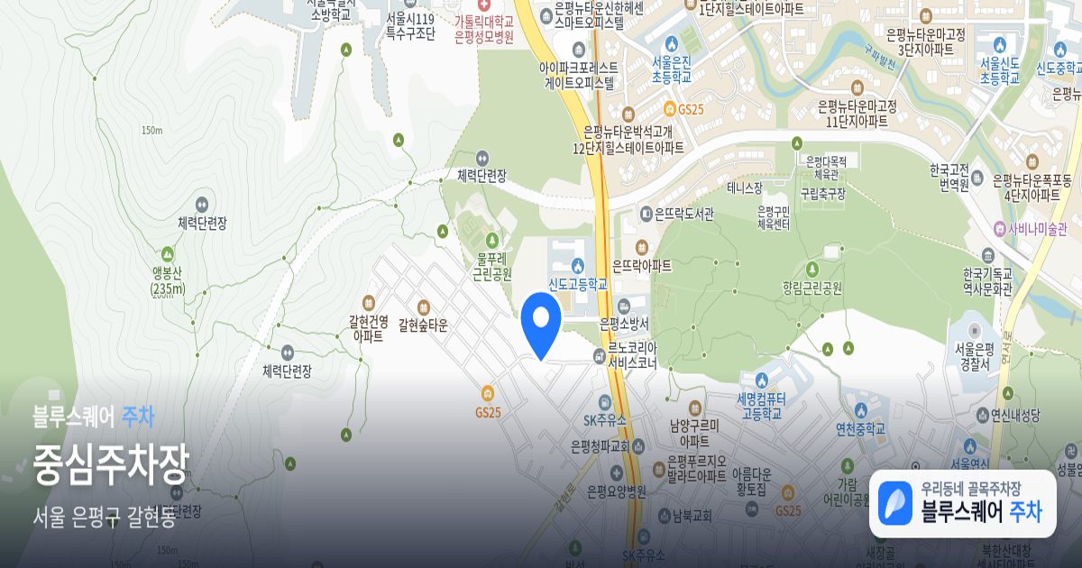 중심주차장 위치 지도