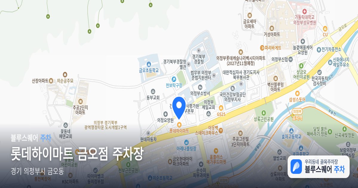 롯데하이마트 금오점 주차장 위치 지도