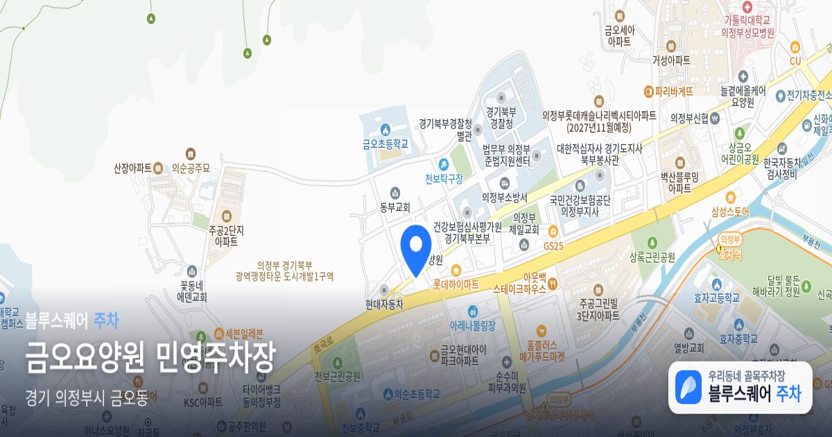 금오요양원 민영주차장 위치 지도