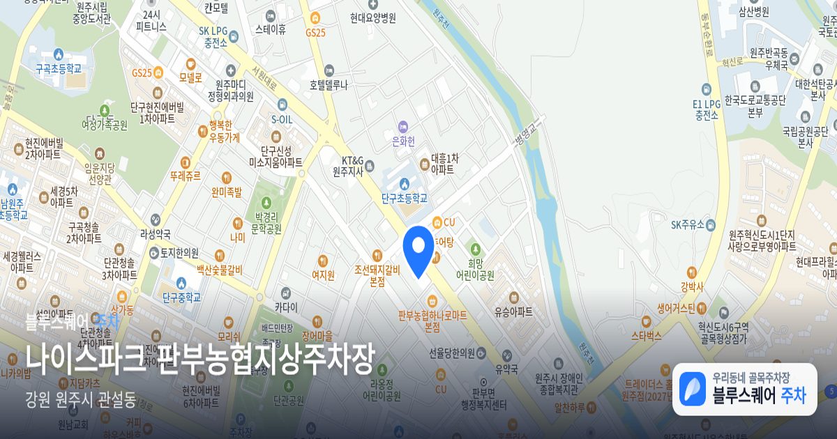나이스파크 판부농협지상주차장 위치 지도
