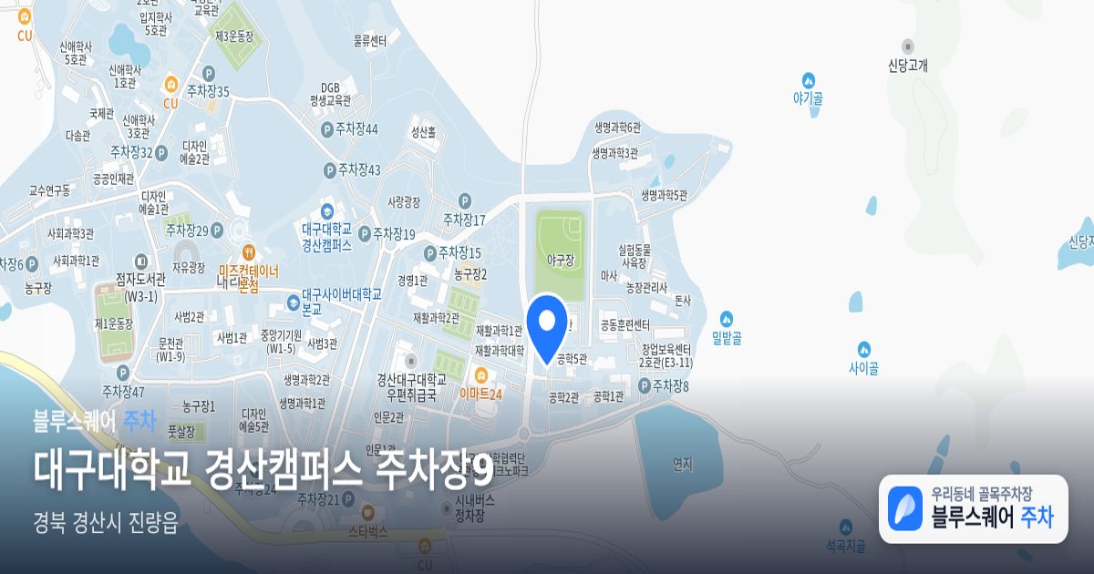 대구대학교 경산캠퍼스 주차장9 위치 지도