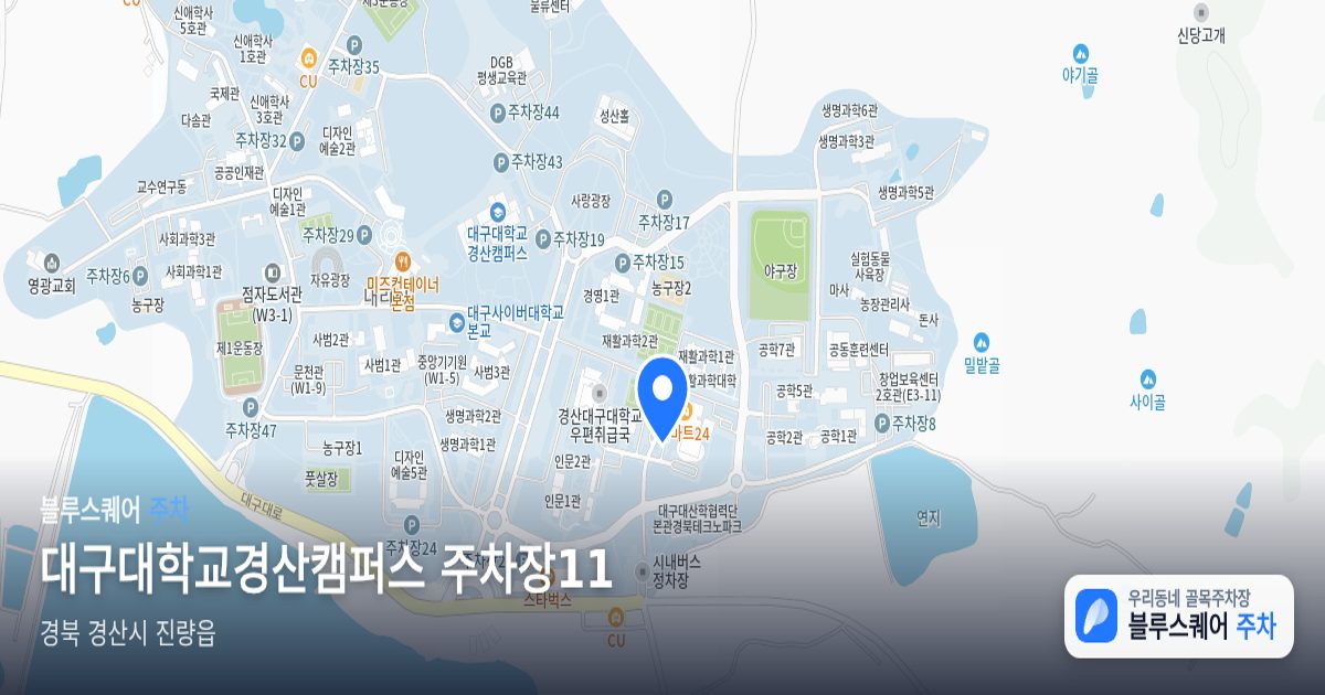 대구대학교경산캠퍼스 주차장11 위치 지도