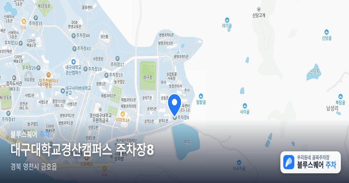 대구대학교경산캠퍼스 주차장8 위치 지도