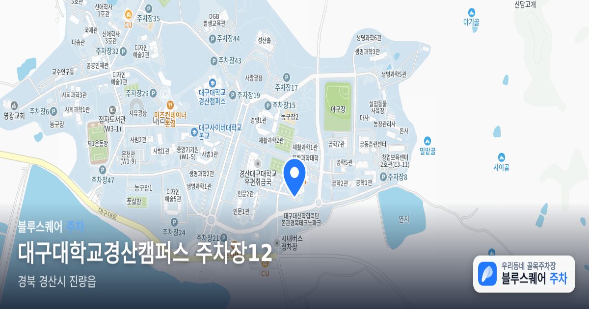 대구대학교경산캠퍼스 주차장12 위치 지도