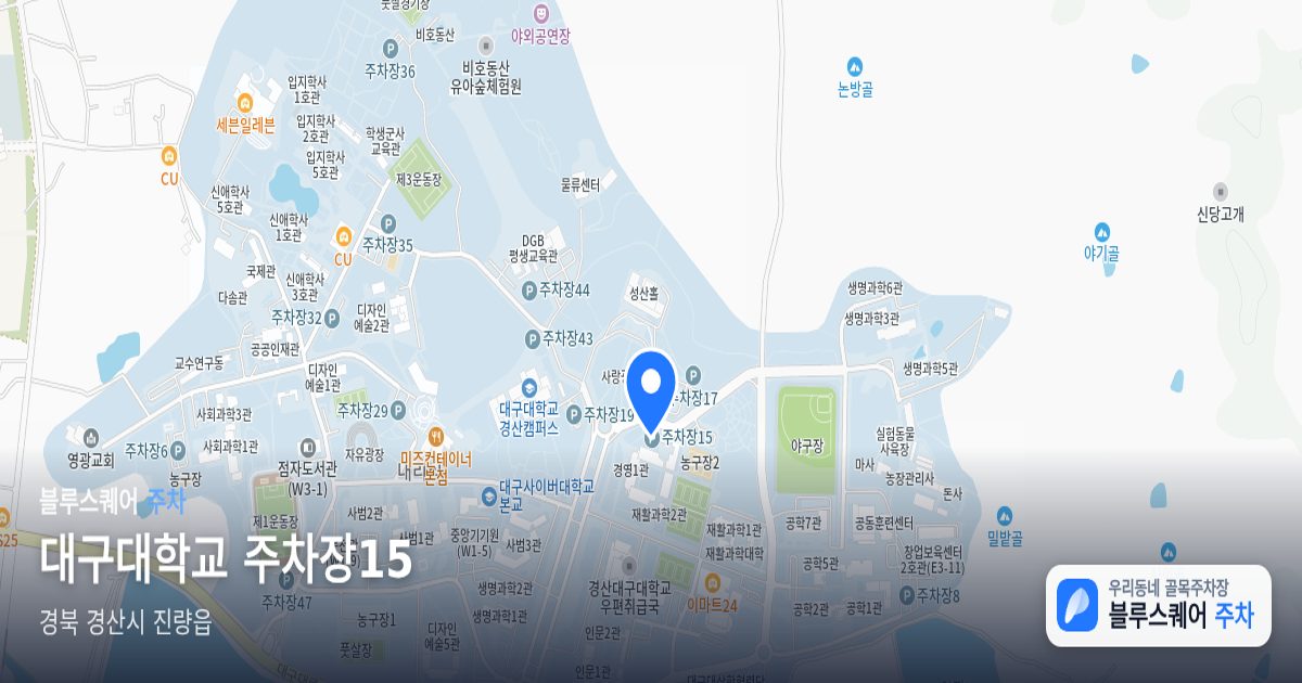 대구대학교 주차장15 위치 지도