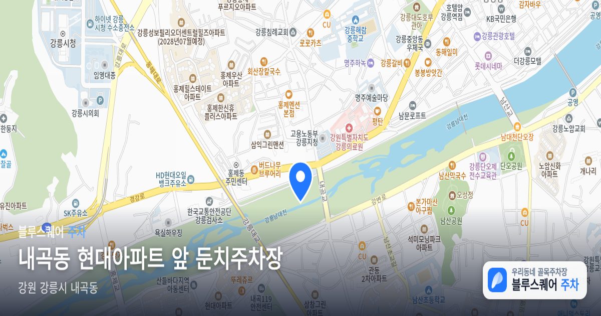 내곡동 현대아파트 앞 둔치주차장 위치 지도