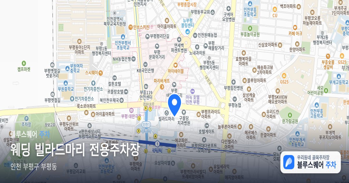 웨딩 빌라드마리 전용주차장 위치 지도