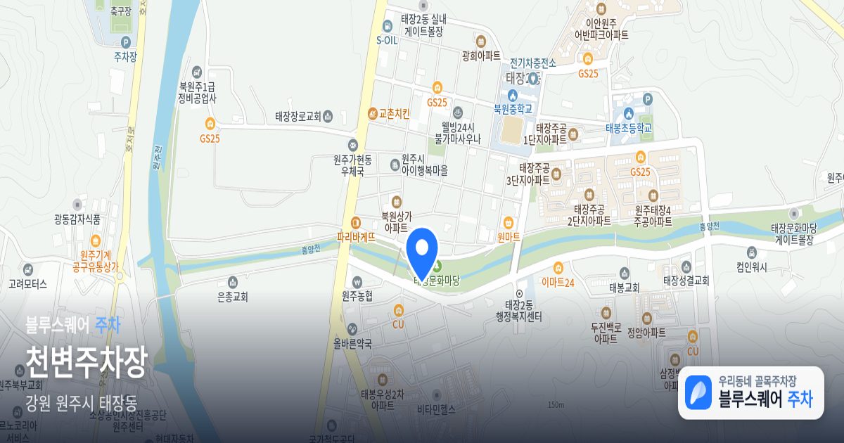 천변주차장 위치 지도