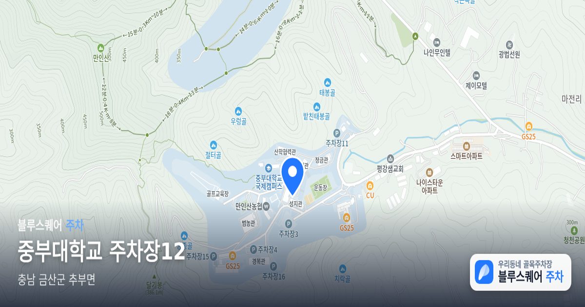 중부대학교 주차장12 위치 지도