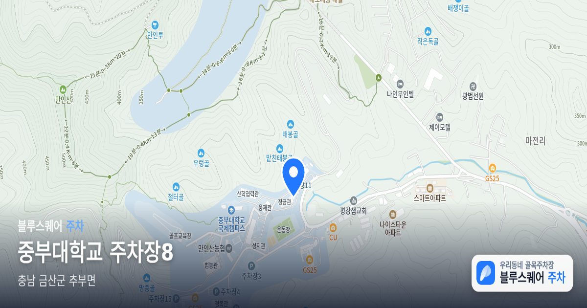 중부대학교 주차장8 위치 지도