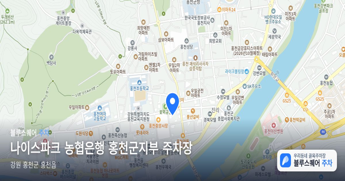나이스파크 농협은행 홍천군지부 주차장 위치 지도