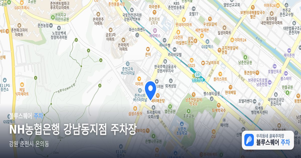 NH농협은행 강남동지점 주차장 위치 지도