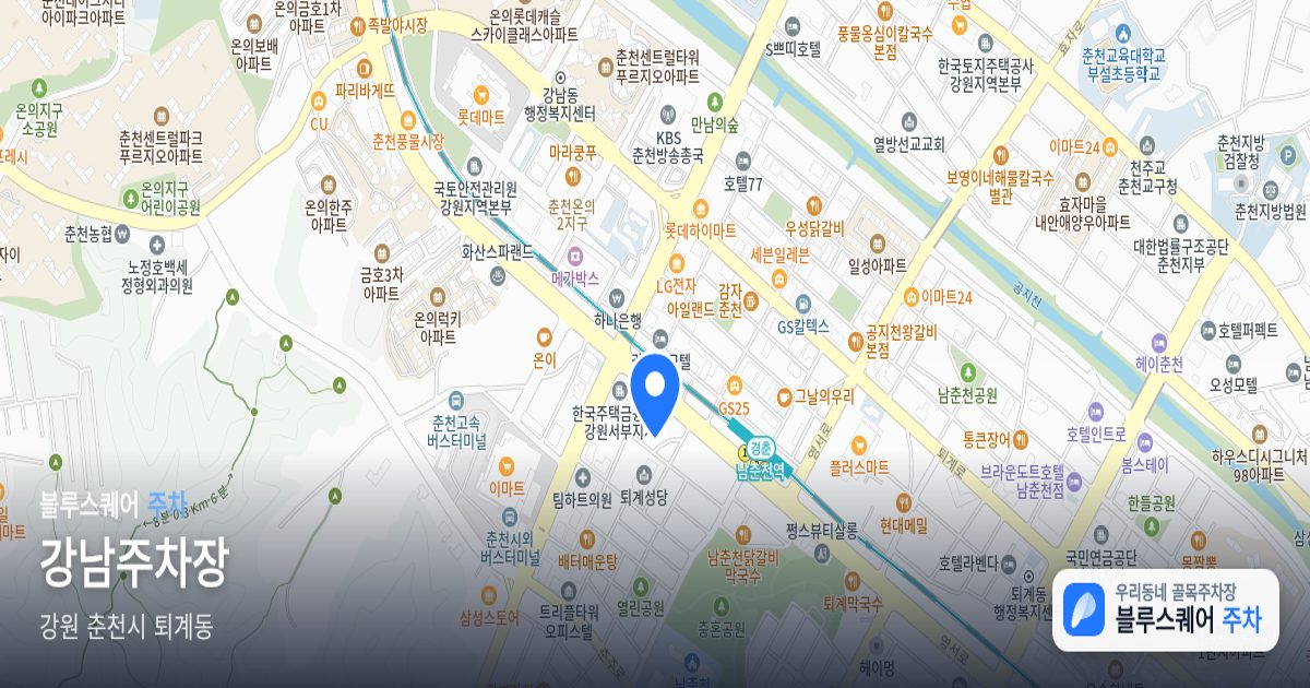 강남주차장 위치 지도