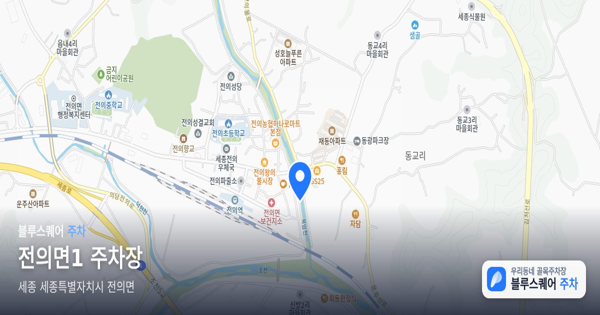 전의면1 주차장 위치 지도
