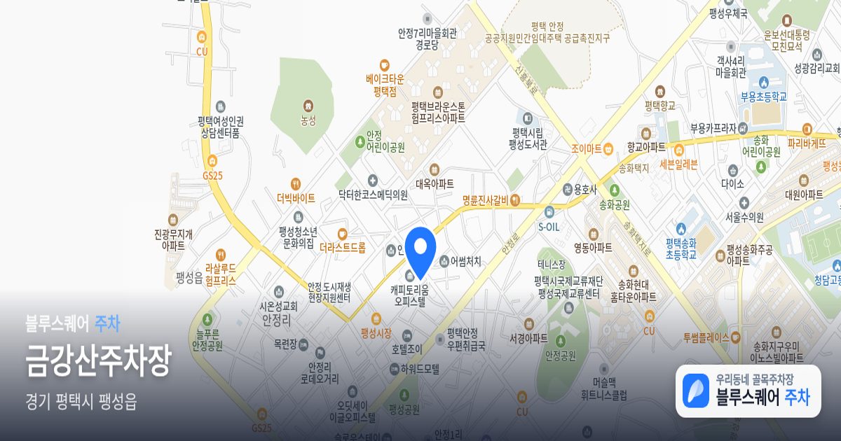 금강산주차장 위치 지도
