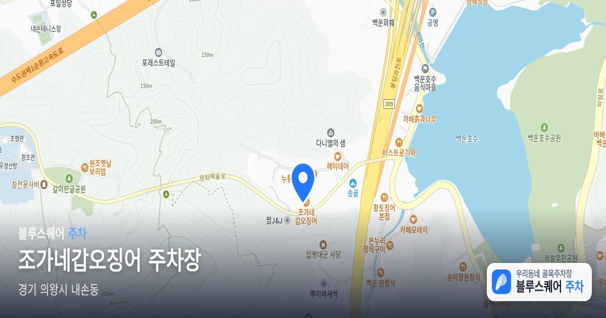 조가네갑오징어 주차장 위치 지도