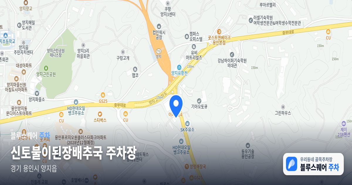 신토불이된장배추국 주차장 위치 지도