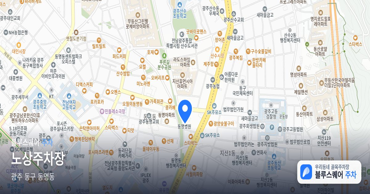 노상주차장 위치 지도