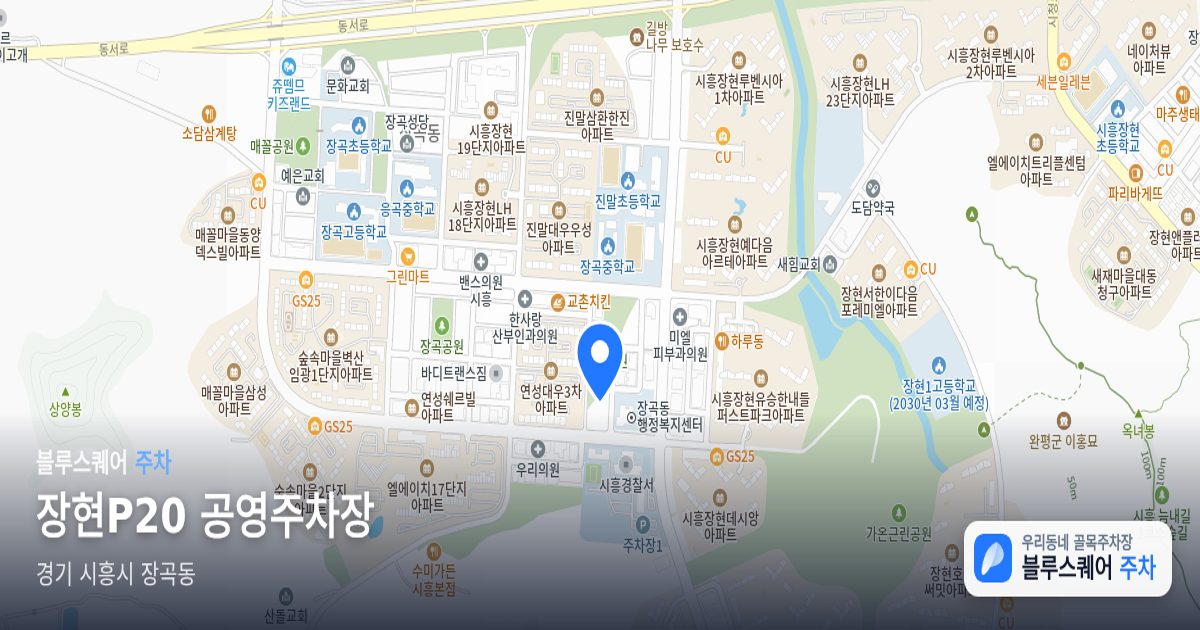 장현P20 공영주차장 위치 지도