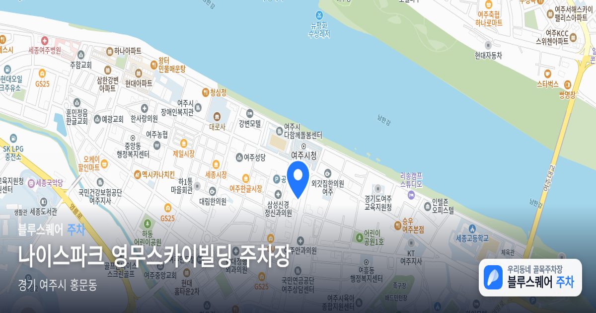 나이스파크 영무스카이빌딩 주차장 위치 지도