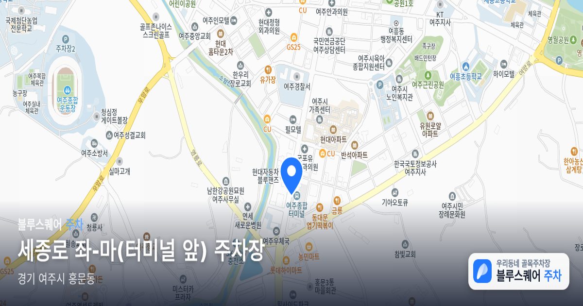 세종로 좌-마(터미널 앞) 주차장 위치 지도